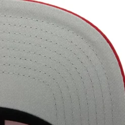 Mitchell & Ness Snapback-Tapestry Snapback San Francisco 49Ers