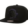 Mitchell & Ness Snapback-Tc Bottoms Snapback Hwc Toronto Raptors