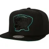 Mitchell & Ness Snapback-Tc Bottoms Snapback Hwc Vancouver Grizzlies