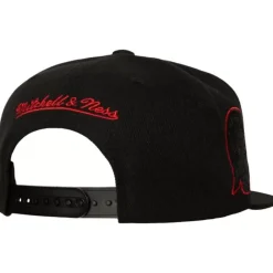 Mitchell & Ness Snapback-Tc Bottoms Snapback Vntg Detroit Red Wings