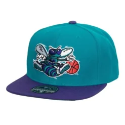 Mitchell & Ness Fitted-Team 2 Tone 2.0 Fitted Hwc Charlotte Hornets