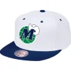 Mitchell & Ness Snapback-Team 2 Tone 2.0 Pro Snapback Hwc Dallas Mavericks