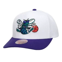 Mitchell & Ness Snapback-Team 2 Tone 2.0 Pro Snapback Hwc Charlotte Hornets