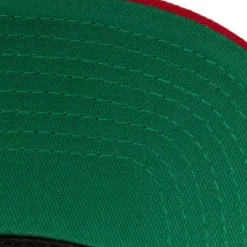 Mitchell & Ness Snapback-Team 2 Tone 2.0 Snapback Hwc Toronto Raptors