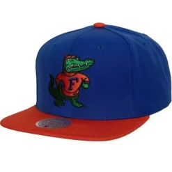 Mitchell & Ness Snapback-Team 2 Tone 2.0 Snapback University Of Florida