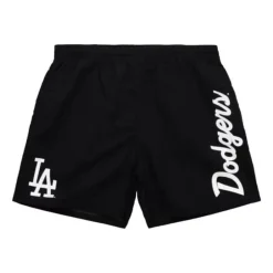 Men Mitchell & Ness Shorts-Team Essentials Nylon Shorts Los Angeles Dodgers