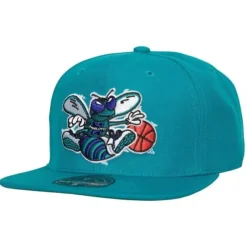 Mitchell & Ness Fitted-Team Ground 2.0 Fitted Hat Hwc Charlotte Hornets
