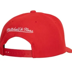 Mitchell & Ness Snapback-Team Ground 2.0 Pro Snapback Florida Panthers