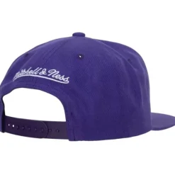 Mitchell & Ness Snapback-Team Ground 2.0 Snapback Hwc Toronto Raptors