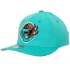 Mitchell & Ness Snapback-Team Ground 2.0 Stretch Snapback Hwc Vancouver Grizzlies