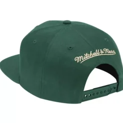 Mitchell & Ness Snapback-Team Ground Snapback Milwaukee Bucks