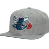 Mitchell & Ness Snapback-Team Heather 2.0 Snapback Hwc Charlotte Hornets