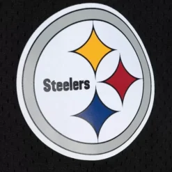 Men Mitchell & Ness Shorts-Team Id Mesh Shorts Pittsburgh Steelers