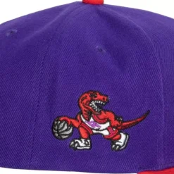 Mitchell & Ness Snapback-Team Insider Snapback Hwc Toronto Raptors