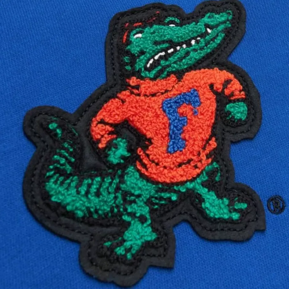 Men Mitchell & Ness Hoodies & Sweatshirts-Team Legacy French Terry Hoodie University Of Florida