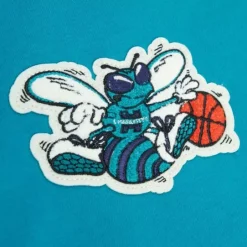 Men Mitchell & Ness Hoodies & Sweatshirts-Team Legacy French Terry Hoodie Charlotte Hornets