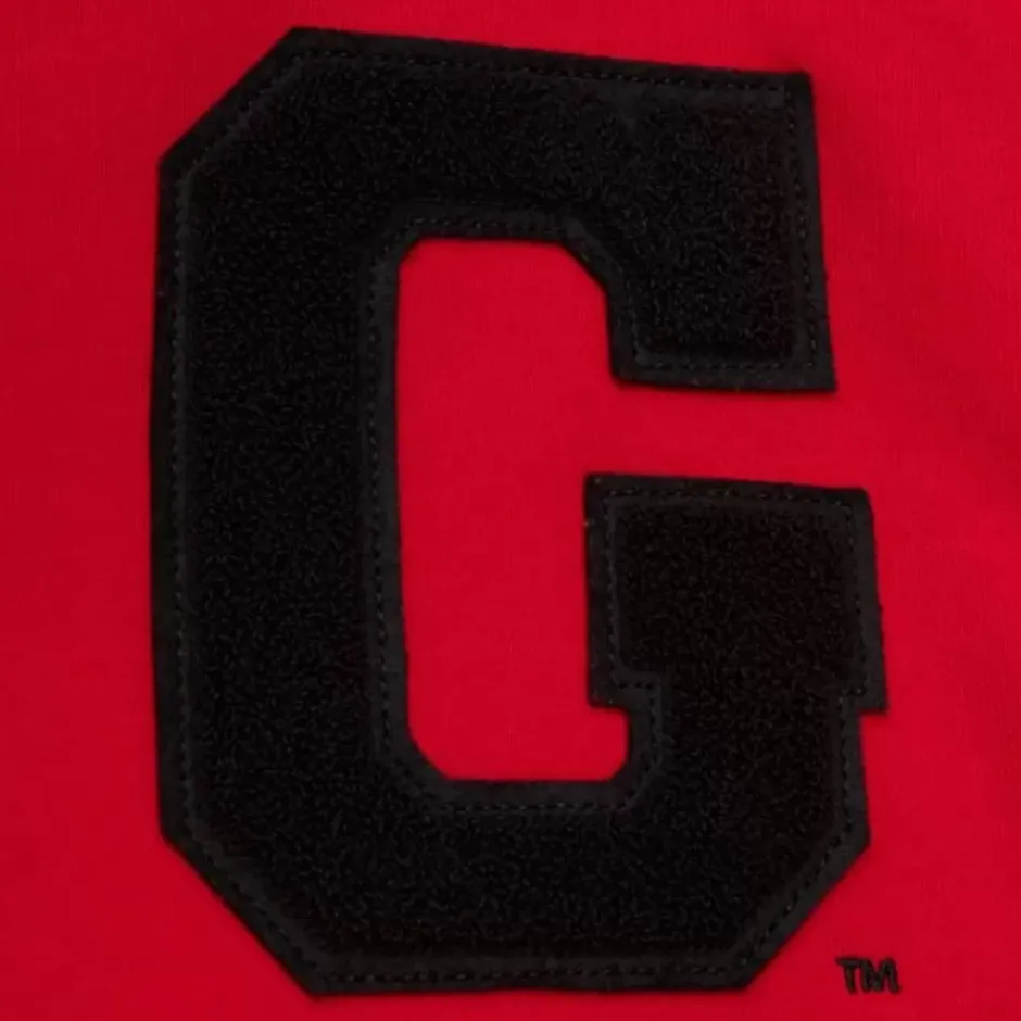 Men Mitchell & Ness Hoodies & Sweatshirts-Team Legacy French Terry Hoodie University Of Georgia