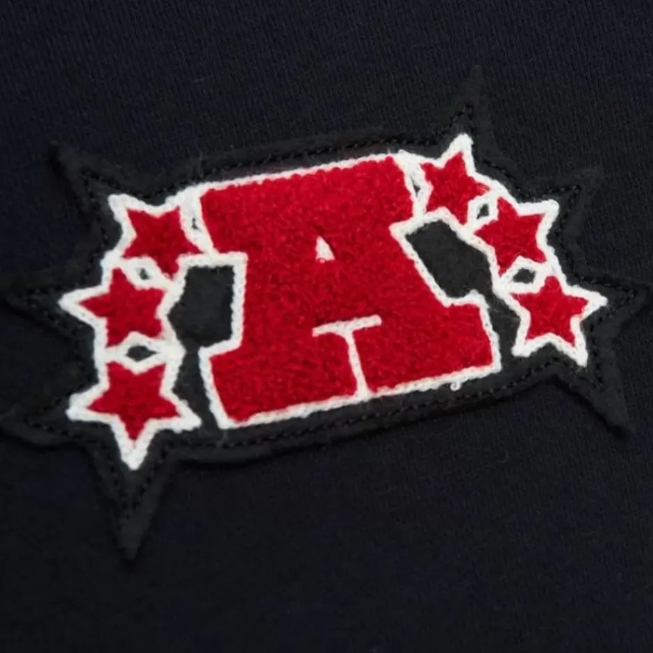 Men Mitchell & Ness Hoodies & Sweatshirts-Team Legacy French Terry Hoodie Pittsburgh Steelers