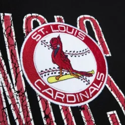 Men Mitchell & Ness Hoodies & Sweatshirts-Team Og Fleece 2.0 St. Louis Cardinals