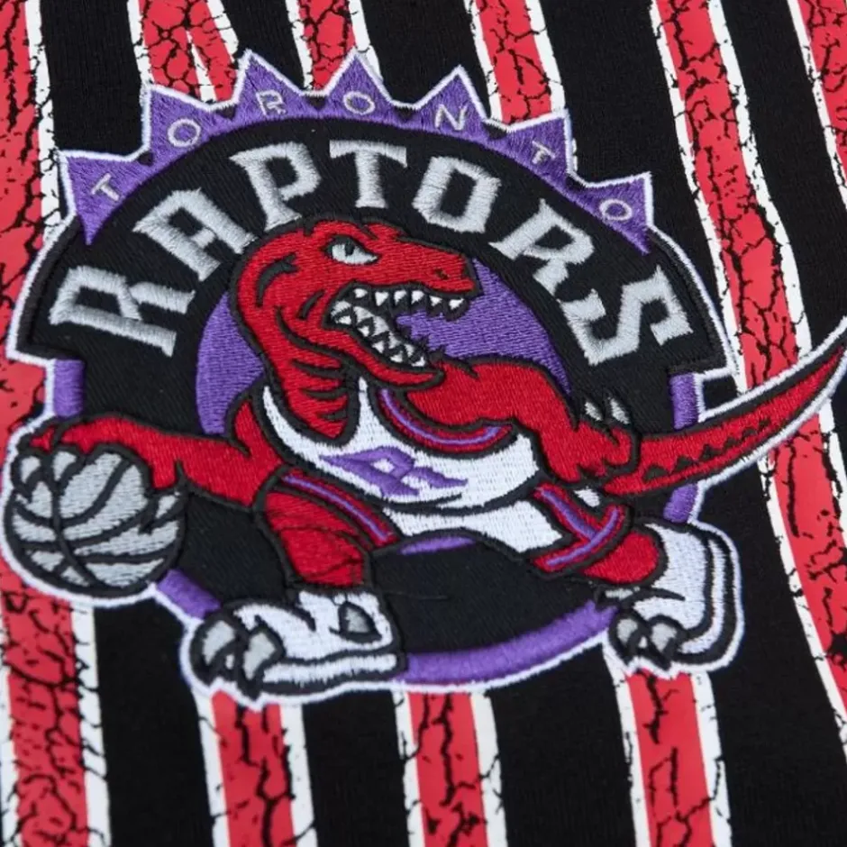 Men Mitchell & Ness Hoodies & Sweatshirts-Team Og Fleece 2.0 Toronto Raptors
