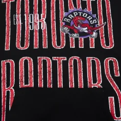 Men Mitchell & Ness Hoodies & Sweatshirts-Team Og Fleece 2.0 Toronto Raptors