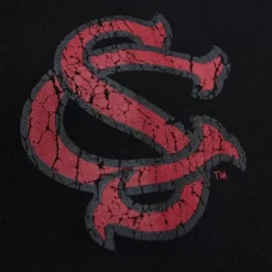 Men Mitchell & Ness Hoodies & Sweatshirts-Team Og Fleece Hoodie University Of South Carolina