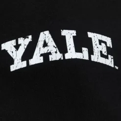 Men Mitchell & Ness Hoodies & Sweatshirts-Team Og Fleece Hoodie Yale University