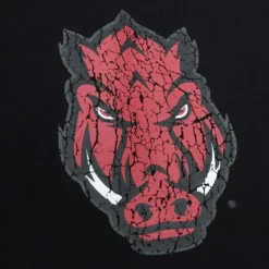 Men Mitchell & Ness Pants-Team Og Fleece Pants University Of Arkansas