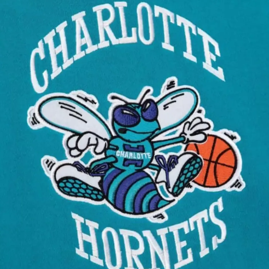 Men Mitchell & Ness Hoodies & Sweatshirts-Team Origins Fleece Hoody Charlotte Hornets