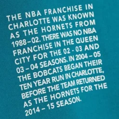 Men Mitchell & Ness Hoodies & Sweatshirts-Team Origins Fleece Hoody Charlotte Hornets