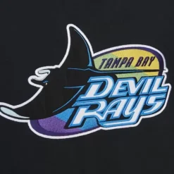 Men Mitchell & Ness Hoodies & Sweatshirts-Team Origins Fleece Hoody Tampa Bay Rays