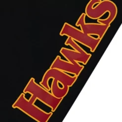 Men Mitchell & Ness Shorts-Team Origins Fleece Short Atlanta Hawks