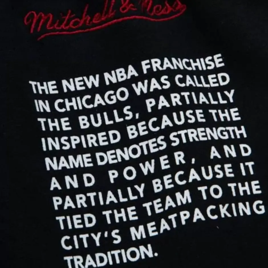 Men Mitchell & Ness Shorts-Team Origins Fleece Short Chicago Bulls