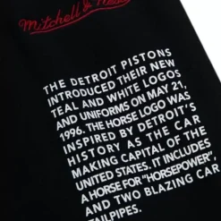 Men Mitchell & Ness Shorts-Team Origins Fleece Short Detroit Pistons