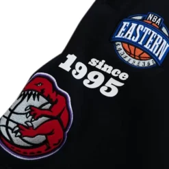 Men Mitchell & Ness Shorts-Team Origins Fleece Short Toronto Raptors
