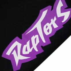 Men Mitchell & Ness Shorts-Team Origins Fleece Short Toronto Raptors
