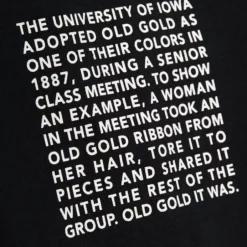 Men Mitchell & Ness Hoodies & Sweatshirts-Team Origins Hoodie University Of Iowa