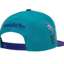 Mitchell & Ness Snapback-Team Origins Snapback Hwc Charlotte Hornets