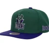 Mitchell & Ness Snapback-Team Origins Snapback Hwc Milwaukee Bucks