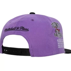 Mitchell & Ness Snapback-Team Origins Snapback Hwc Toronto Raptors