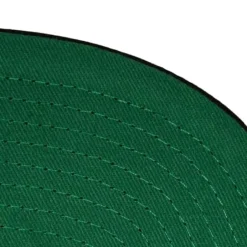 Mitchell & Ness Snapback-Team Origins Snapback Hwc Toronto Raptors