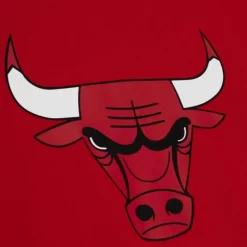 Men Mitchell & Ness T-Shirts & Tops-Team Origins S/S Top Chicago Bulls