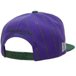Mitchell & Ness Snapback-Team Pin Snapback Hwc Milwaukee Bucks