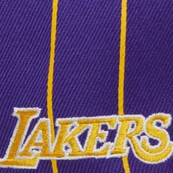 Mitchell & Ness Snapback-Team Pin Snapback Los Angeles Lakers
