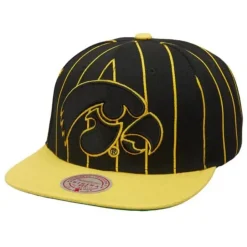 Mitchell & Ness Snapback-Team Pin Snapback University Of Iowa