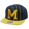 Mitchell & Ness Snapback-Team Pin Snapback University Of Michigan