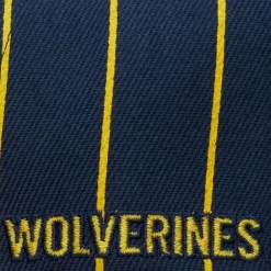 Mitchell & Ness Snapback-Team Pin Snapback University Of Michigan