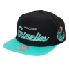 Mitchell & Ness Snapback-Team Script 2.0 Snapback Hwc Vancouver Grizzlies