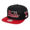 Mitchell & Ness Snapback-Team Script 2.0 Snapback Hwc Chicago Bulls