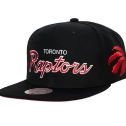 Mitchell & Ness Snapback-Team Script 2.0 Snapback Toronto Raptors